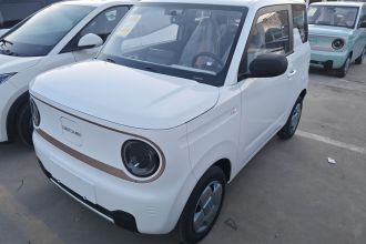 吉利银河 2024款 熊猫mini 200km 耐力熊