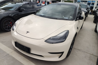 特斯拉 Model 3 2021款 标准续航后驱升级版 3D6