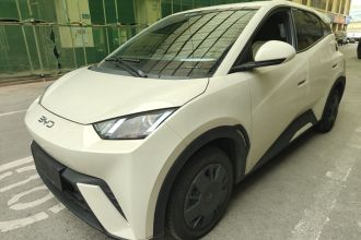 比亚迪 海鸥 2024款 荣耀版 305km 活力版