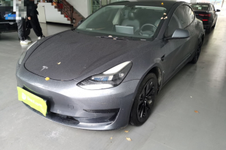 特斯拉 Model 3 2021款 标准续航后驱升级版