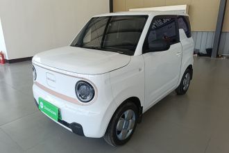 吉利银河 2024款 熊猫mini 200km 耐力熊