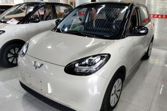 五菱汽车 五菱缤果 2023款 333km 快享款