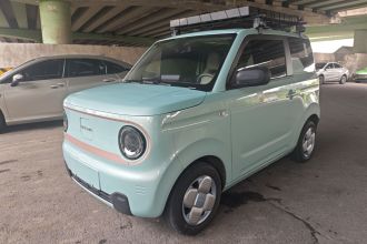 吉利银河 2024款 熊猫mini 200km 耐力熊
