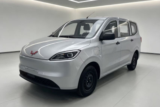 五菱汽车 五菱宏光新能源 2024款 纯电版 300KM 标准型