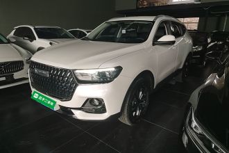 哈弗H6 2023款 国潮版 1.5T 自动都市版