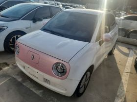 欧拉黑猫 2022款 改款 301km 萌宠版 磷酸铁锂