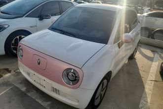 欧拉黑猫 2022款 改款 301km 萌宠版 磷酸铁锂