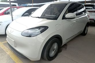 五菱汽车 五菱缤果 2024款 333km 悦享款