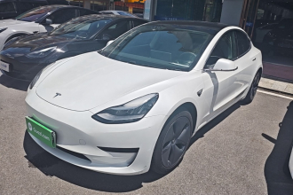 特斯拉 Model 3 2020款 标准续航后驱升级版