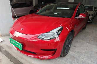 特斯拉 Model 3 2020款 标准续航后驱升级版