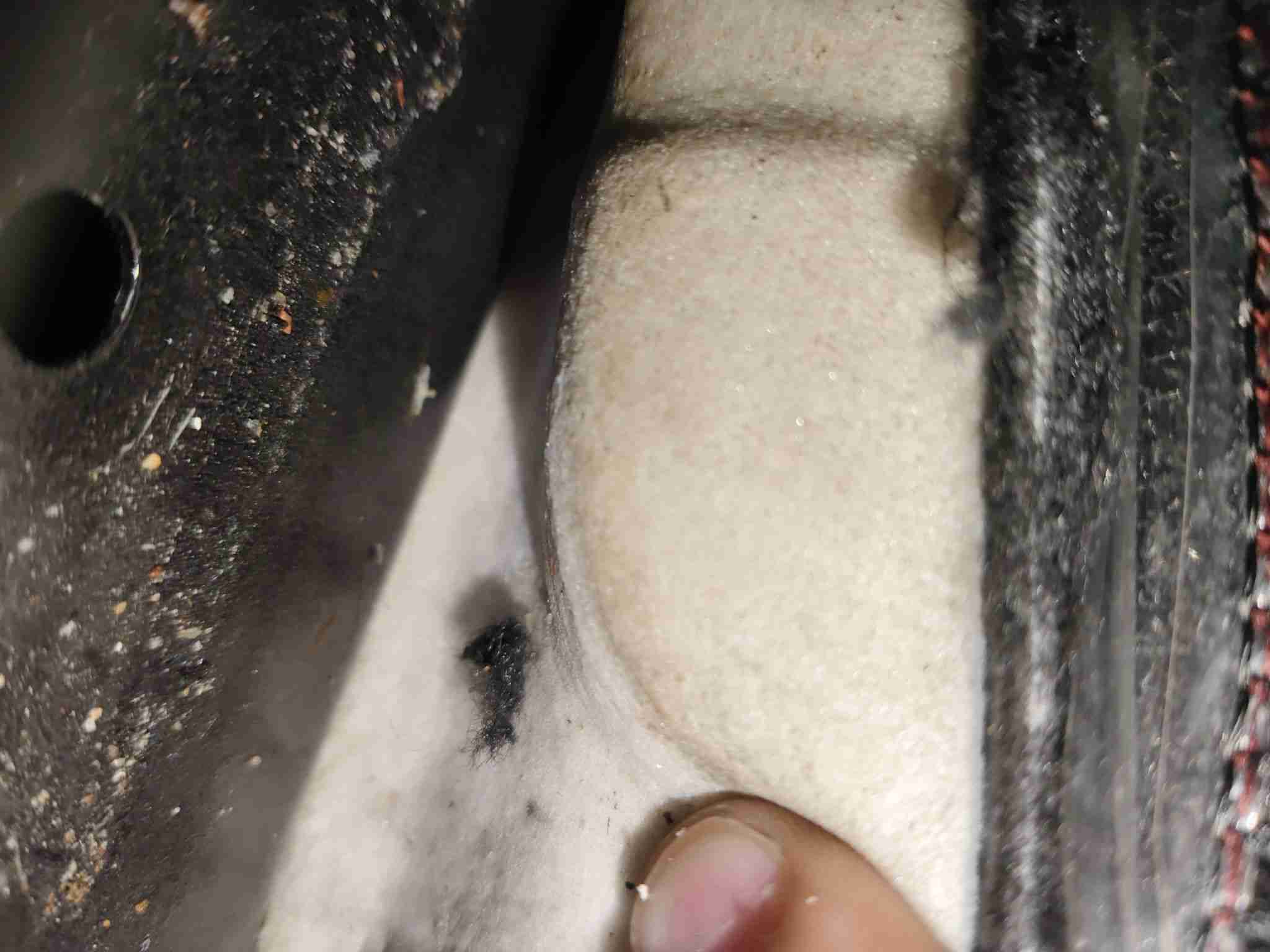 左前地毯局部水渍痕迹实拍