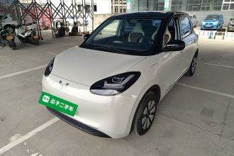 五菱汽车 五菱缤果 2024款 333km 悦享款