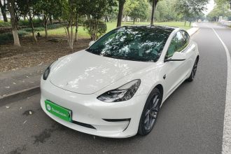 特斯拉 Model 3 2021款 Performance高性能全轮驱动版