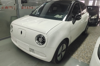 欧拉黑猫 2019款 301km 标准版