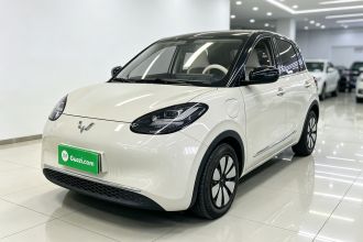 五菱汽车 五菱缤果 2024款 333km 悦享款