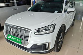 奥迪Q2L e-tron 2019款 Q2L e-tron 纯电智享型