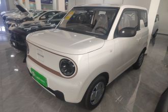 吉利银河 2024款 熊猫mini 200km 耐力熊